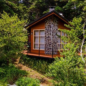 Los Pinos Cabins & Reserve